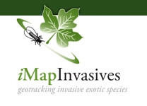 Page Logo